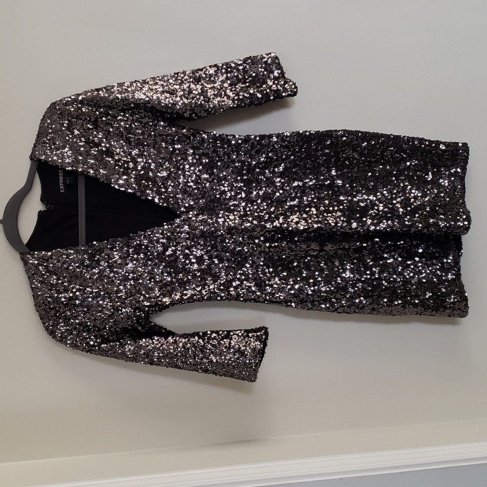 Express sequin dress